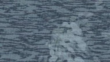 Yaratıcı video düzenleme film arkaplan tasarımı için minimalist organik hareket grafikleri