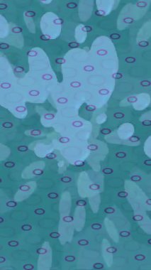 Benzersiz dijital hareket grafiklerine sahip yaratıcı sinematik projeler için yumuşak animasyon yüzeyi