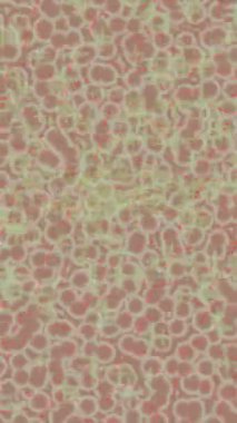 Dijital doku yüzey tasarım biçimi ile modern video animasyonu için gelişmiş hareket grafikleri