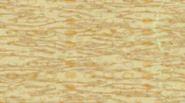 Yaratıcı video düzenleme film arkaplan tasarımı için minimalist organik hareket grafikleri