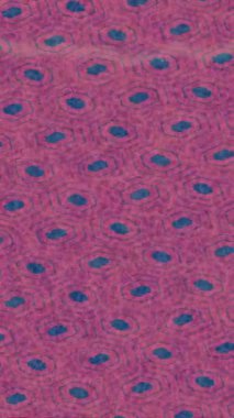 Benzersiz dijital hareket grafiklerine sahip yaratıcı sinematik projeler için yumuşak animasyon yüzeyi