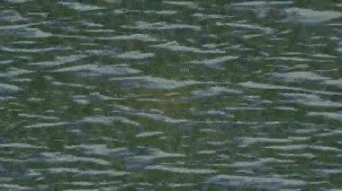 Benzersiz hareket grafikleri tasarım sanatına sahip yaratıcı film üretimi için özet bir arkaplan