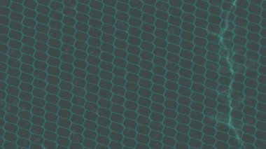 Dijital doku yüzey tasarım biçimi ile modern video animasyonu için gelişmiş hareket grafikleri