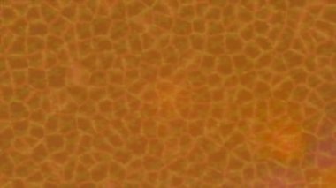 Benzersiz dijital animasyon tarzı grafikleri olan yaratıcı ortam tasarımı için yenilikçi hareket dokusu