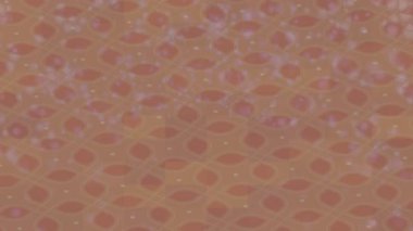 Yaratıcı video düzenleme film arkaplan tasarımı için minimalist organik hareket grafikleri