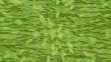 Modern medya üretimi için fütüristik dijital soyut doku sinematik tarz hareketli grafik ögesi