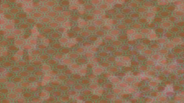 Benzersiz dijital hareket grafiklerine sahip yaratıcı sinematik projeler için yumuşak animasyon yüzeyi