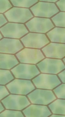 Benzersiz video giriş tasarımı projeleri için detaylı yüzey kalıbı film animasyon stili grafik girişi