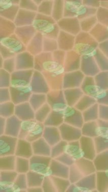 Profesyonel video projeleri sanat tarzı için organik hareketli arkaplan tasarımı