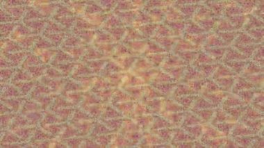 Benzersiz dijital hareket grafiklerine sahip yaratıcı sinematik projeler için yumuşak animasyon yüzeyi