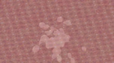 Lüks hareket projeleri için soyut tasarım stili animasyonu olan üst düzey dijital doku