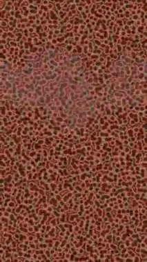 Benzersiz hareket grafikleri tasarım sanatına sahip yaratıcı film üretimi için özet bir arkaplan