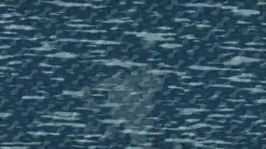 Benzersiz hareket grafikleri tasarım sanatına sahip yaratıcı film üretimi için özet bir arkaplan