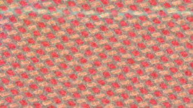 Lüks hareket tasarımı üst düzey video projeleri ve dijital sanat için zarif, pürüzsüz bir dokusu var.