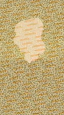 Benzersiz hareket dokusu tasarım sanatı ile profesyonel video düzenleme için modern soyut grafikler