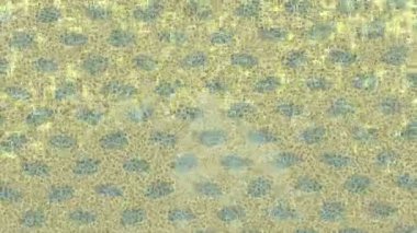 Lüks hareket tasarımı üst düzey video projeleri ve dijital sanat için zarif, pürüzsüz bir dokusu var.