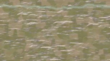 Benzersiz dijital animasyon tarzı grafikleri olan yaratıcı ortam tasarımı için yenilikçi hareket dokusu