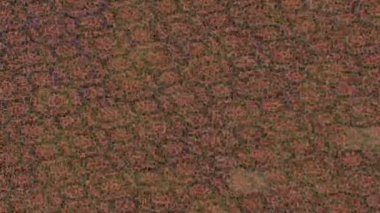 Benzersiz hareket grafikleri tasarım sanatına sahip yaratıcı film üretimi için özet bir arkaplan