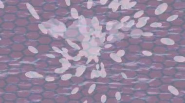 Profesyonel video projeleri sanat tarzı için organik hareketli arkaplan tasarımı