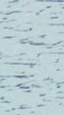 Lüks hareket projeleri için soyut tasarım stili animasyonu olan üst düzey dijital doku