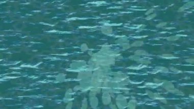 Lüks hareket tasarımı üst düzey video projeleri ve dijital sanat için zarif, pürüzsüz bir dokusu var.