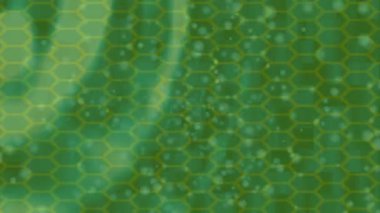 Benzersiz dijital animasyon tarzı grafikleri olan yaratıcı ortam tasarımı için yenilikçi hareket dokusu