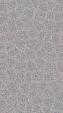 Soyut hareket desenli fütüristik video üretimi için dinamik dijital arkaplan