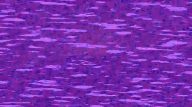 Soyut hareket desenli fütüristik video üretimi için dinamik dijital arkaplan