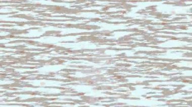 Dijital doku yüzey tasarım biçimi ile modern video animasyonu için gelişmiş hareket grafikleri