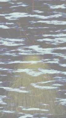 Benzersiz dijital hareket grafiklerine sahip yaratıcı sinematik projeler için yumuşak animasyon yüzeyi