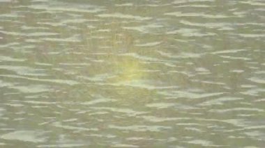 Benzersiz video giriş tasarımı projeleri için detaylı yüzey kalıbı film animasyon stili grafik girişi