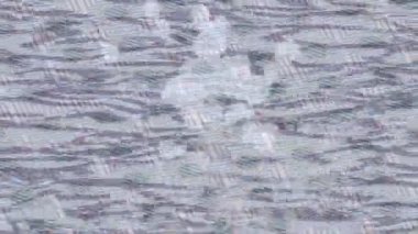 Benzersiz dijital hareket grafiklerine sahip yaratıcı sinematik projeler için yumuşak animasyon yüzeyi