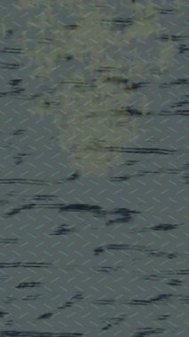 Benzersiz dijital hareket grafiklerine sahip yaratıcı sinematik projeler için yumuşak animasyon yüzeyi