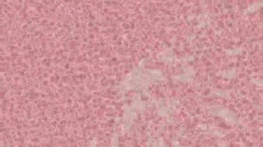 Dijital doku yüzey tasarım biçimi ile modern video animasyonu için gelişmiş hareket grafikleri