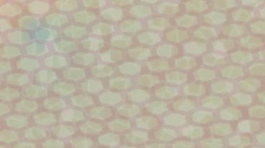 Yaratıcı video düzenleme film tasarımı için benzersiz hareket grafikleri biçimi giriş hareketi video pro