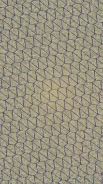 Estetik doku arkaplan tasarımı renkli hareket grafikleri ile moda film giriş profosyoneli