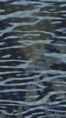 Yaratıcı video düzenleme film tasarımı için benzersiz hareket grafikleri biçimi giriş hareketi video pro