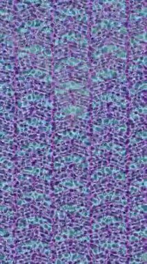 Lüks hareket tasarımı üst düzey video projeleri ve dijital sanat için zarif, pürüzsüz bir dokusu var.