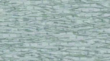 Dijital doku yüzey tasarım biçimi ile modern video animasyonu için gelişmiş hareket grafikleri