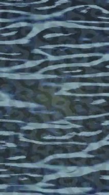 Yaratıcı video düzenleme film arkaplan tasarımı için minimalist organik hareket grafikleri