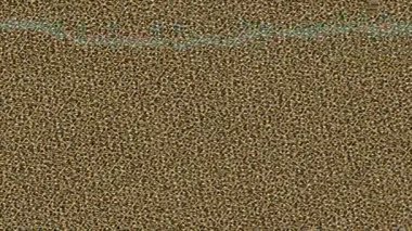 Benzersiz dijital animasyon tarzı grafikleri olan yaratıcı ortam tasarımı için yenilikçi hareket dokusu