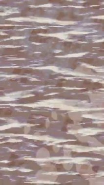 Estetik doku arkaplan tasarımı renkli hareket grafikleri ile moda film giriş profosyoneli