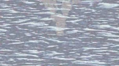 Yaratıcı video düzenleme film tasarımı için benzersiz hareket grafikleri biçimi giriş hareketi video pro