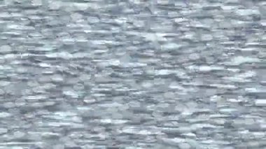 Soyut hareket desenli fütüristik video üretimi için dinamik dijital arkaplan