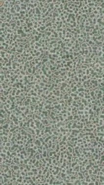 Dijital doku yüzey tasarım biçimi ile modern video animasyonu için gelişmiş hareket grafikleri