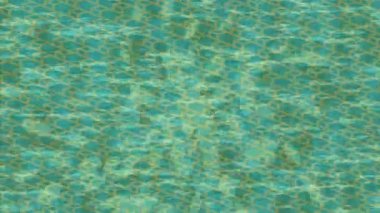 Benzersiz dijital animasyon tarzı grafikleri olan yaratıcı ortam tasarımı için yenilikçi hareket dokusu