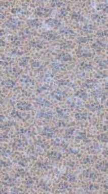 Modern medya üretimi için fütüristik dijital soyut doku sinematik tarz hareketli grafik ögesi