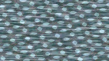 Yaratıcı video düzenleme film arkaplan tasarımı için minimalist organik hareket grafikleri