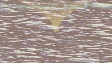 Lüks hareket projeleri için soyut tasarım stili animasyonu olan üst düzey dijital doku