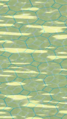 Dijital doku yüzey tasarım biçimi ile modern video animasyonu için gelişmiş hareket grafikleri